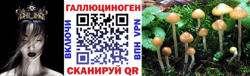 Псилоцибиновые грибы Psilocybine cubensis  наркота  кракен онион  Озёры 